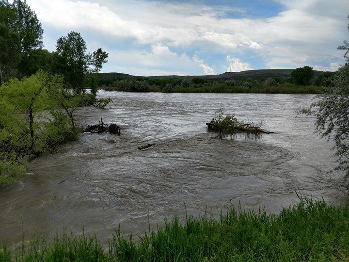 High water at the Yellowstone River